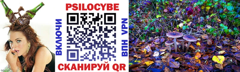 Галлюциногенные грибы Psilocybe  купить наркоту  Пересвет 